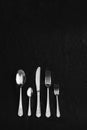 Beautiful silver cutlery on a black background Royalty Free Stock Photo