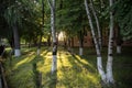 Picture of beautiful village house with garden. Azerbaijan village in summer time Royalty Free Stock Photo