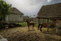 Picture of beautiful village house with garden. Azerbaijan village in summer time Royalty Free Stock Photo