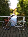 Bike in Delftse Hout, a park near the city of Delft