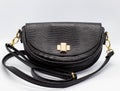 Black leather half-round textured snakeskin handbag on a white background Royalty Free Stock Photo
