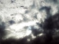 Picture of the blue sky with gory clouds Royalty Free Stock Photo