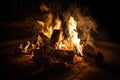 A bonfire in the Addo National Park, South africa