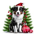 A border collie happy puppy in chirstmas theme background