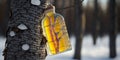 Picture of a Bottle of Traditional Russian Birch Sap