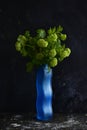 Picture of a bouquet of viburnum twigs, blooming green against a black background.