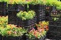 Picture of boxes with flowers Royalty Free Stock Photo