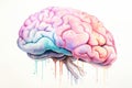 Picture of brain neurogenesis hippocampus, neurology, human memory Royalty Free Stock Photo