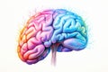 Picture of brain neurogenesis hippocampus, prefrontal cortex intelligence Royalty Free Stock Photo