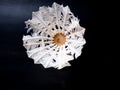 Picture of a broken shuttlecock Royalty Free Stock Photo
