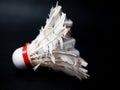 Picture of a broken shuttlecock Royalty Free Stock Photo
