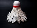 Picture of a broken shuttlecock Royalty Free Stock Photo