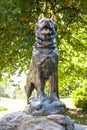 Bronze Statue of Balto the dog in Central Park