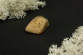 Picture brown jasper from Republic of South Africa RSA. Natural mineral stone on a black surrounded by moss. Mineralogy, geology,