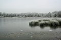 A picture of Brown Moss in winter