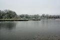 A picture of Brown Moss in winter