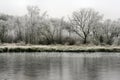 A picture of Brown Moss in winter