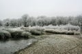 A picture of Brown Moss in winter