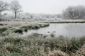 A picture of Brown Moss in winter