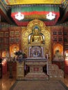 Buddha statue, Karma Triyana Dharmachakra Tibetan Buddhist Monastery