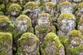 Buddhist rakan stone statues at the Otagi Nenbutsu-ji temple in Arashiyama, Kyoto, Japan Royalty Free Stock Photo