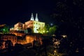 Picture of buildings surrounded by greenery and lamps under a starry sky during the night Royalty Free Stock Photo