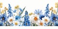 A picture of a bunch of blue and white flowers, Spring flowers