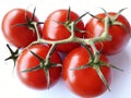 Tomatoes on white background