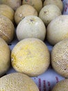 Cantaloupe Melons at market
