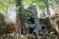 This picture captures a medieval Khmer stone building in ruins, hidden among the plants in a Cambodian forest