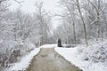 A bridge in the middle of the snowy forest