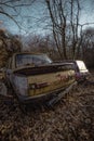 a junked car on land with leaves and dead trees Royalty Free Stock Photo