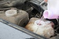 Filling of non-freezing liquid in the glass washer tank in the car Royalty Free Stock Photo