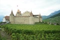 A castle and vineyard