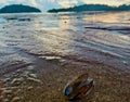 this is a picture of a clam on a sunken beach. This beach is very beautiful during the sick day and morning when the sun comes up