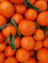 Clementine oranges with green leafs