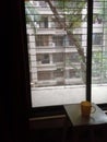 Picture clicked from my window while having tea
