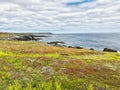 Mistaken point ecological reserve