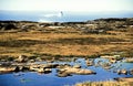 Tundra with ocean and an iceberg -Impression of a hiking tripp on the westcoast of Greenland