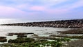 A picture of coastal sea defences.