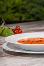 Picture of cold tasty tomato soup Royalty Free Stock Photo