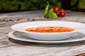 Picture of cold tasty tomato soup gazpacho with Royalty Free Stock Photo