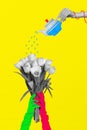 Picture collage image of arm watering fresh spring tulips isolated on drawing colorful background