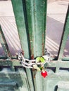 A picture of the contrast between a beautiful fresh red rose stuck between iron chains.The shadows of the bars can be seen .
