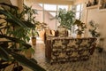 A place to relax in the house, where there are many domestic flowers and plants, flowers and leaves on a white background