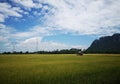 Picture of cornfield, mountains, sky, clouds in the sky, rural atmosphere, close to nature, weekend rest