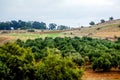 Mount of Beatitudes countryside, Lake Galilee Royalty Free Stock Photo