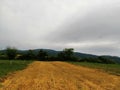 Oats field cut on cloudy sky