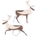 Set of two caribous Royalty Free Stock Photo