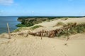 The Curonian Spit Kursiu Nerija National Park in Lithuania Royalty Free Stock Photo